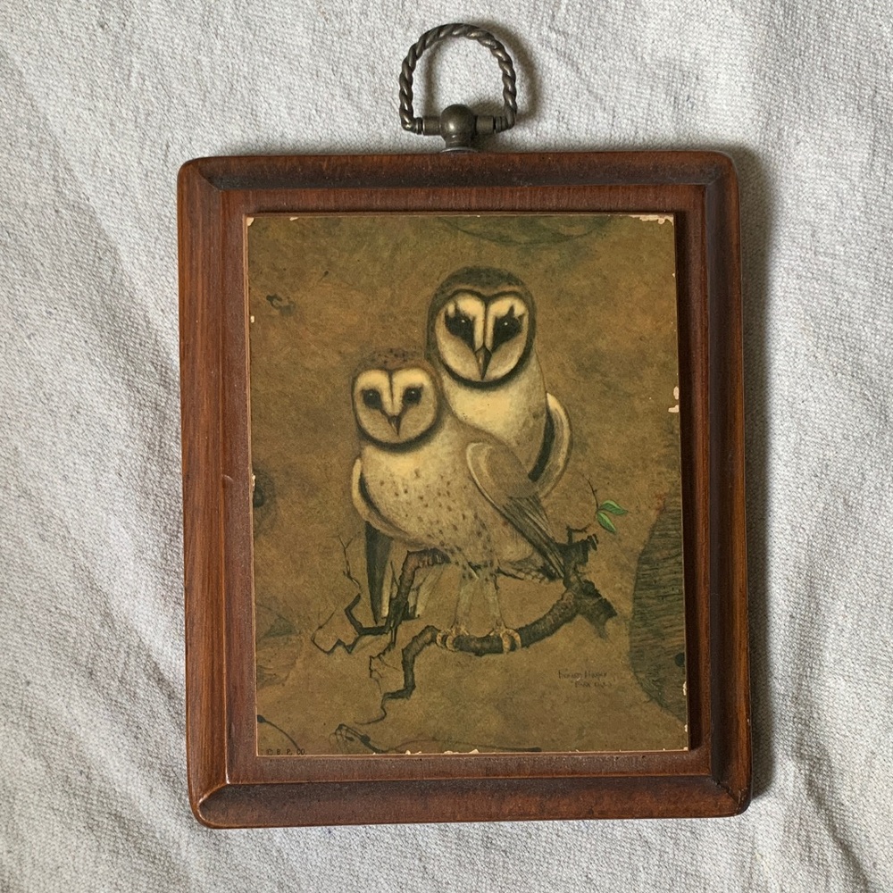 Vintage Owl Art in Wooden Frame